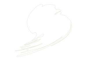 Hataka HTK-C101 Traffic White (RAL 9016) 17ml