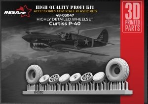 RESArm 48-03047 P-40 VAR 2 - Wheels under load (3D resin printing) 1/48
