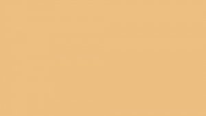 Lifecolor UA822 - Coach Cream 22ml