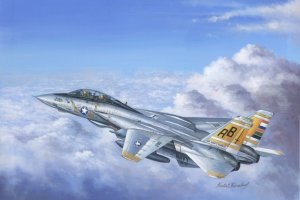 Hobby Boss 80366 F-14A Tomcat (1:48)