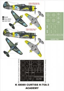 Montex K48089 Curtiss H-75A-3 1/48