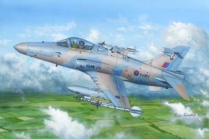 Hobby Boss 81737 Hawk MK.200/208/209 1/48