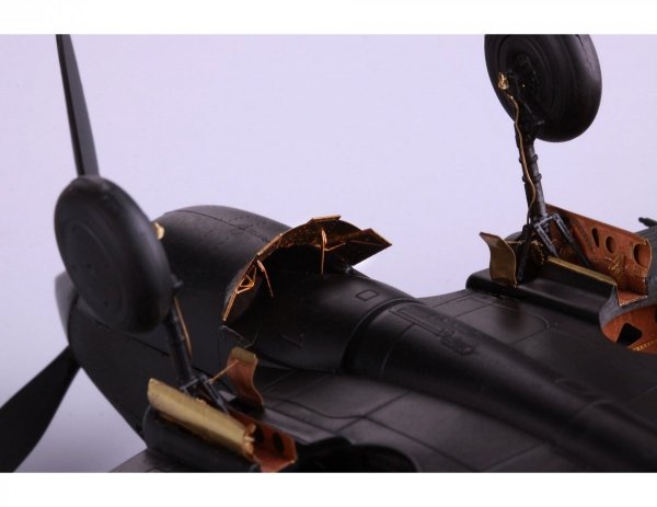 Eduard 49807 P-40C BRONCO 1/48