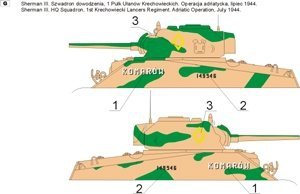 ToRo Model 35D30 - Polish Shermans in Italy, 2nd Polish Corps 1945 vol.2 1/35