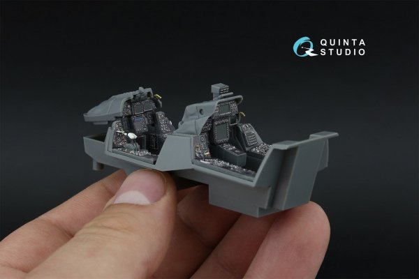 Quinta Studio QDS-48593 F-14D Super Tomcat 3D-Printed &amp; coloured Interior on decal paper (GWH) (Small version) 1/48