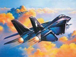 Revell 04514 F-14A Black Tomcat (1:48)