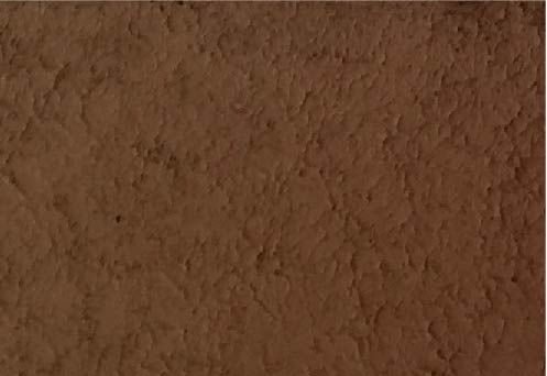 Gunze Sangyo WP05 Weathering Paste Mud Red (40ml)