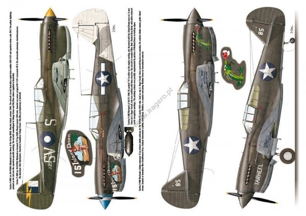 Kagero 3040 Curtiss P-40 vol. II EN