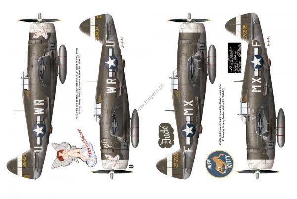 Kagero 12015 Thunderbolts of the U.S. 8th Army Air Force March 1943 - February 1944 EN
