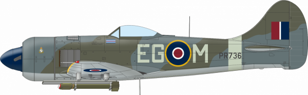 Eduard 11164 The Ultimate Tempest Limited Edition 1/48