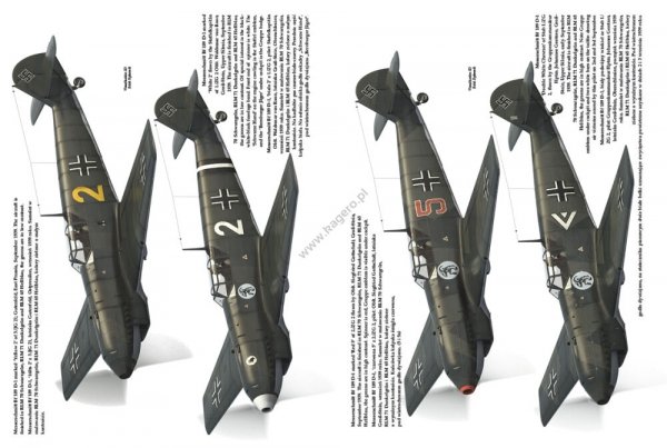 Kagero 12013 Messerschmitt Bf 109 C/D in the Polish Campaign 1939 EN