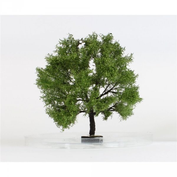 FREON GP1 Pear tree - Grusza Polna 16/17cm