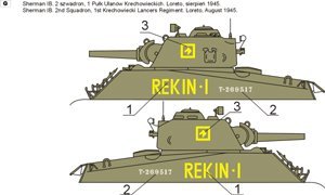 ToRo Model 35D48 - Polish Shermans in Italy, 2nd Polish Corps 1945 vol.3 1/35