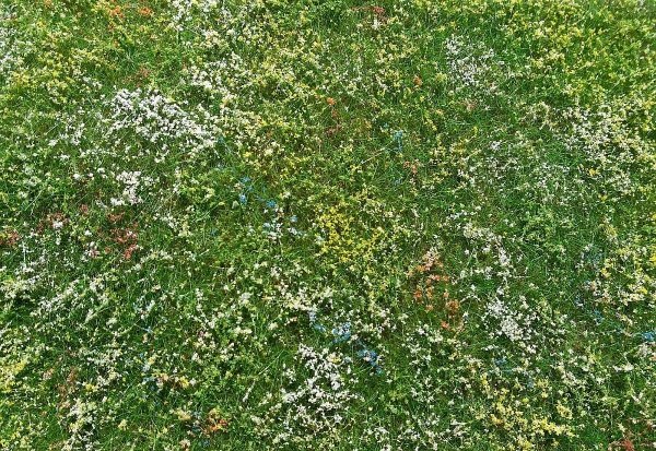 Model Scene F562 Blooming meadow - early summer