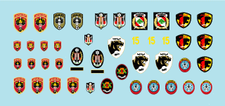 Star Decals 35-C1114 Lebanese Tanks &amp; AFVs 7 1/35