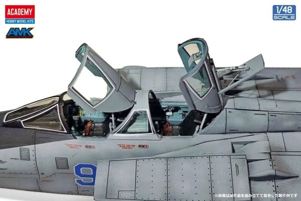 Academy 12364 Russian Air Force MiG-31 BM/BSM Foxhound 1/48