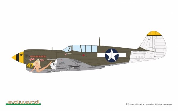 Eduard 84210 Curtiss P-40 N Warhawk - The Weekend Edition 1/48