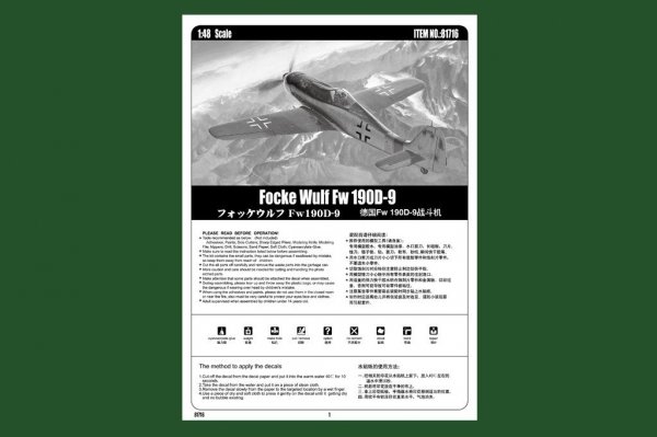 Hobby Boss 81716 Focke Wulf Fw 190D-9 (1:48)