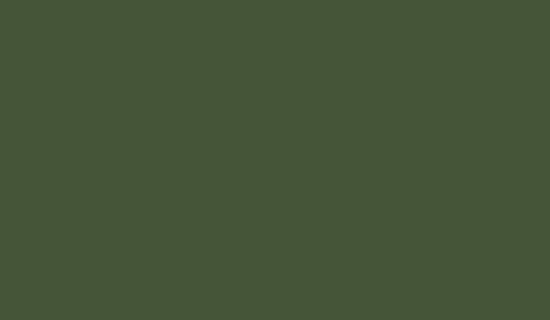 Lifecolor UA479 - Dunkelgrun Grau 22ml