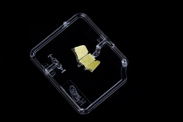 Eduard JX338 A6M5 Hs 123A ICM 1/32