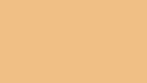 Lifecolor UA822 - Coach Cream 22ml