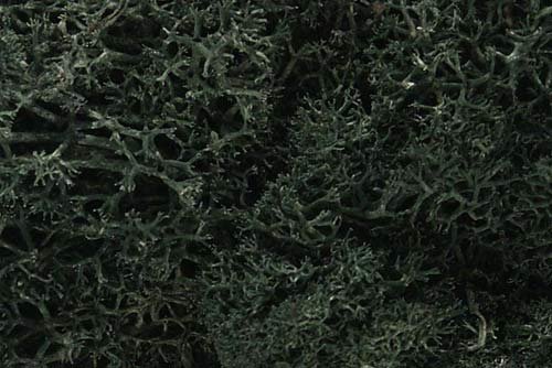Woodland Scenics WL164 Dark Green Lichen