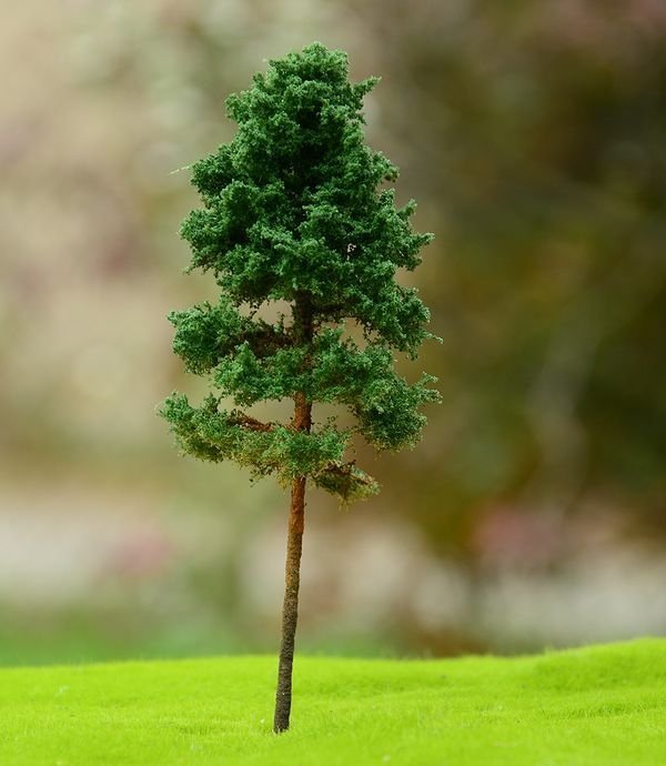 FREON SOD2 Pine - Sosna dorosła 14/16cm