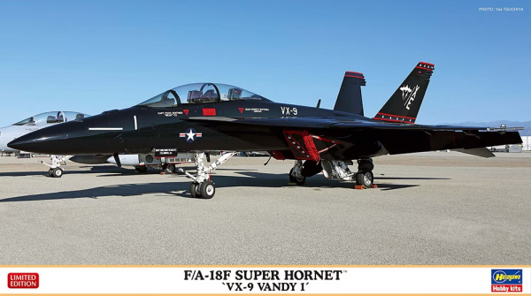 Hasegawa 02447 F/A-18F Super Hornet 'VX-9 Vandy 1'