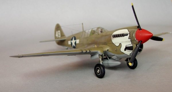 Hasegawa A9 P-40N Warhawk (1:72)