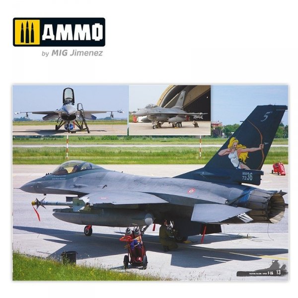 AMMO of Mig Jimenez 6029 F-16 Fighting Falcon / VIPER. Visual Modelers Guide Multilingüal (Eng, Spa, Ita)