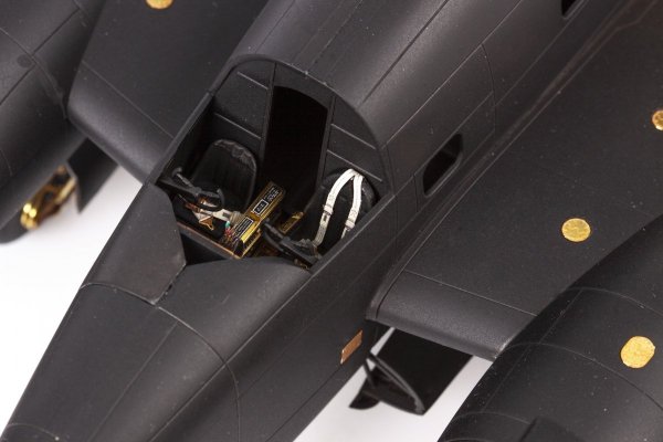 Eduard FE1349 PV-1 seatbelts STEEL ACADEMY 1/48