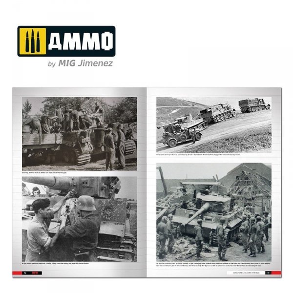 Ammo of Mig 6273 Tigers – Modelling the Ryefield Family (English)
