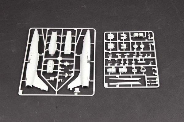 Trumpeter 01650 F-100F Super Sabre (1:72)