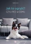 Jak to ugryźć? Czyli pies w domu