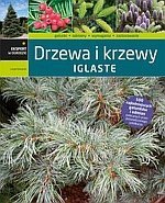 Drzewa i krzewy iglaste /Multico