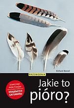 Jakie to pióro? Przewodnik