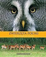 Zwierzęta Polski The wildlife of Poland