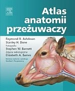 Atlas anatomii przeżuwaczy