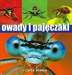 Owady i pajęczaki