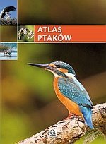 Atlas ptaków Imagine