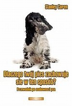 Dlaczego twój pies zachowuje się w ten sposób