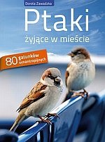 Ptaki żyjące w mieście 80 gatunków synantropijnych