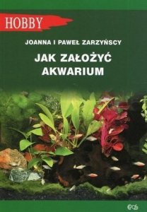 Jak założyć akwarium