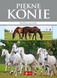 Piękne konie przegląd ras