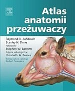 Atlas anatomii przeżuwaczy