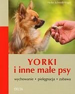 Yorki i inne małe psy wychowanie pielęgnacja zabawa