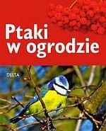 Ptaki w ogrodzie