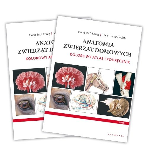 Anatomia zwierząt domowych kolorowy atlas i podręcznik