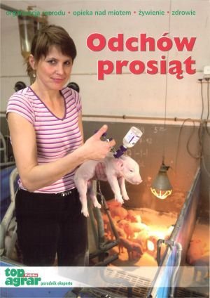 Odchów prosiąt