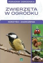 Natura Zwierzęta w ogródku